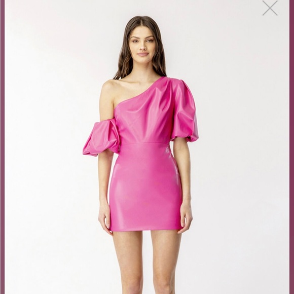 Bardot Dresses & Skirts - Bardot MARIELLA MINI DRESS